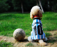 匠心治污，铸就绿色发展精品工程